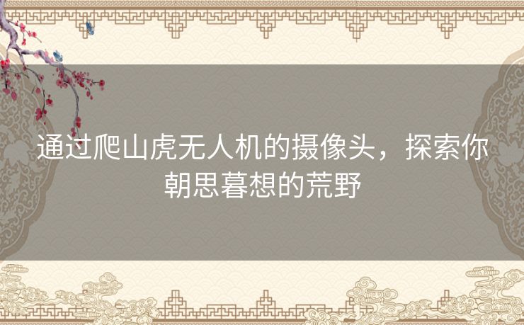 通过爬山虎无人机的摄像头，探索你朝思暮想的荒野