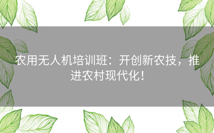 农用无人机培训班：开创新农技，推进农村现代化！
