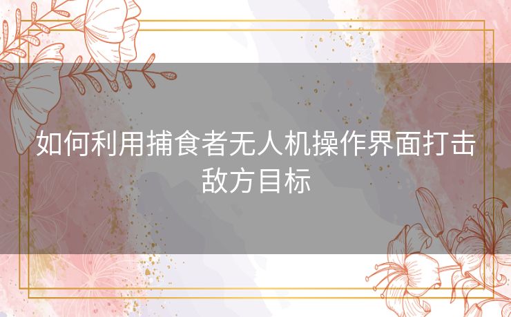 如何利用捕食者无人机操作界面打击敌方目标