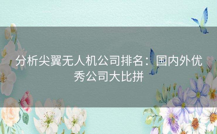 分析尖翼无人机公司排名：国内外优秀公司大比拼
