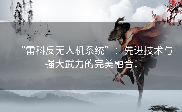 “雷科反无人机系统”：先进技术与强大武力的完美融合！