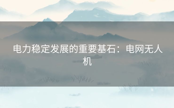 电力稳定发展的重要基石：电网无人机