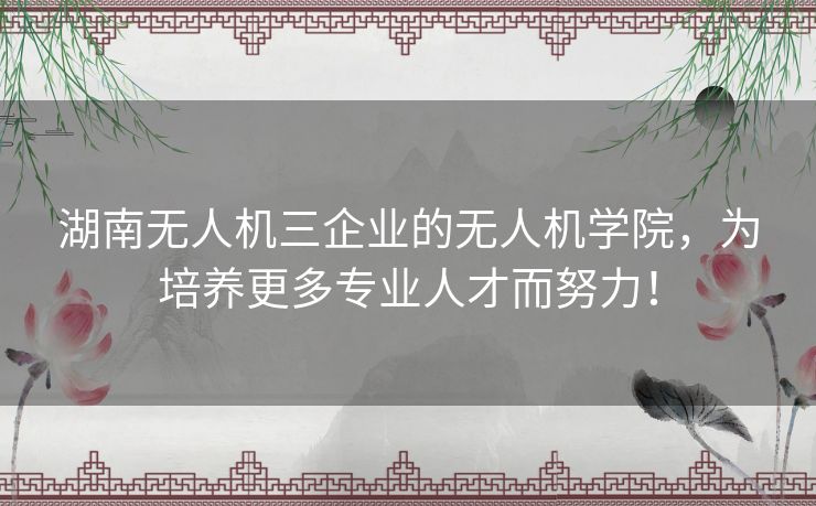 湖南无人机三企业的无人机学院，为培养更多专业人才而努力！