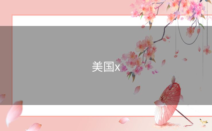 美国x