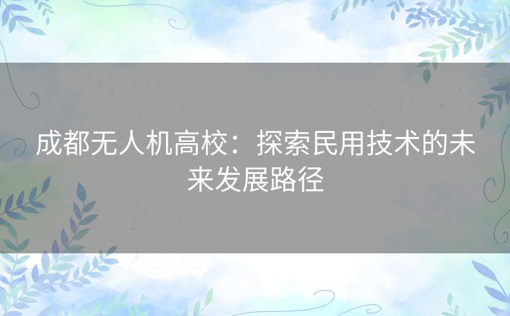 成都无人机高校：探索民用技术的未来发展路径