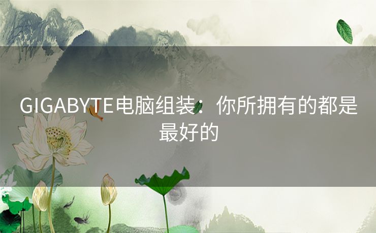 GIGABYTE电脑组装：你所拥有的都是最好的