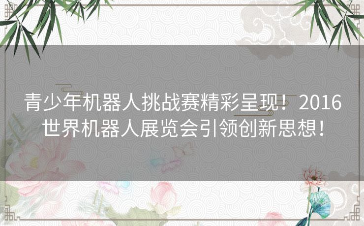 青少年机器人挑战赛精彩呈现！2016世界机器人展览会引领创新思想！