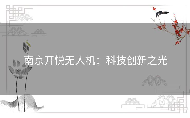 南京开悦无人机：科技创新之光