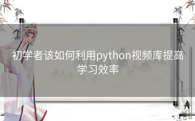初学者该如何利用python视频库提高学习效率