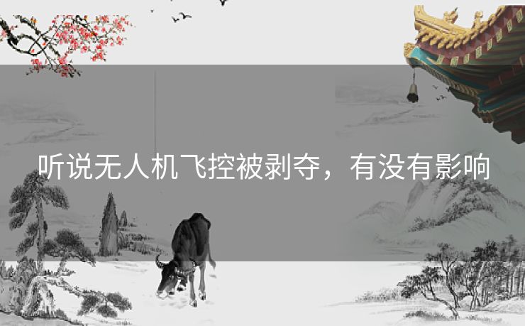 听说无人机飞控被剥夺，有没有影响