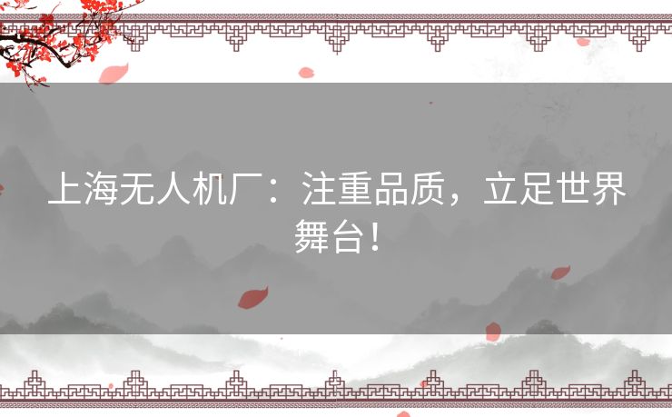 上海无人机厂：注重品质，立足世界舞台！