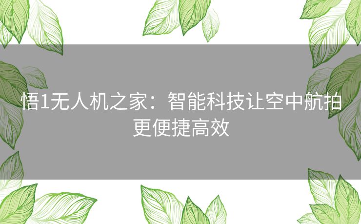 悟1无人机之家：智能科技让空中航拍更便捷高效