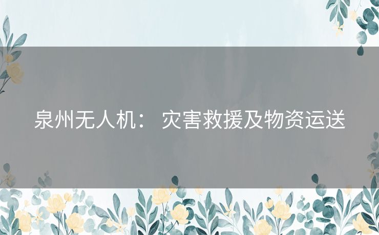 泉州无人机： 灾害救援及物资运送