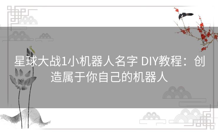 星球大战1小机器人名字 DIY教程：创造属于你自己的机器人