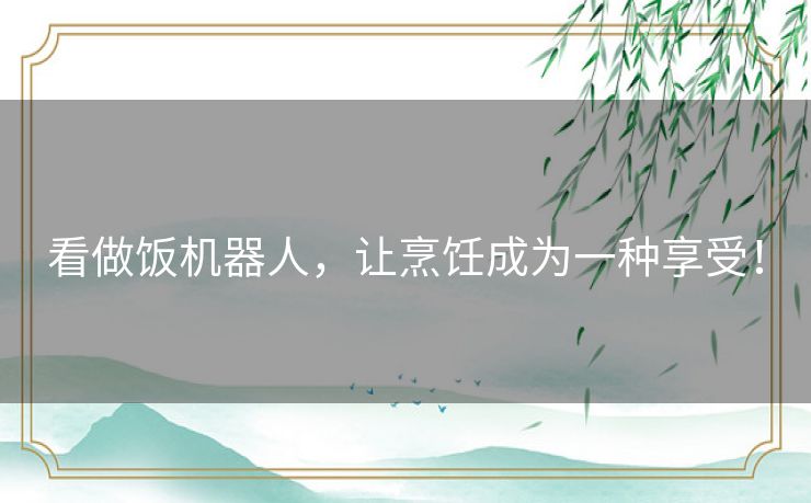看做饭机器人，让烹饪成为一种享受！