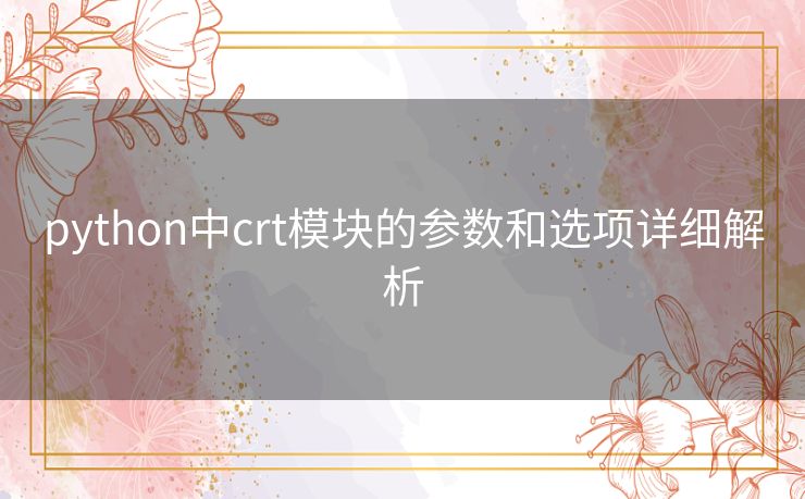 python中crt模块的参数和选项详细解析