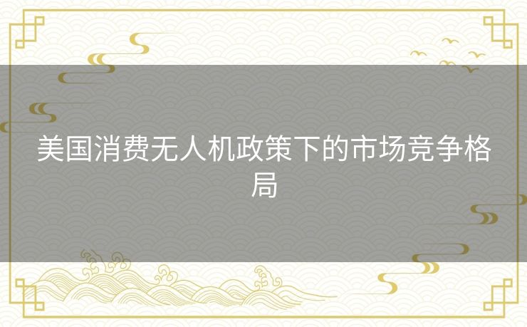 美国消费无人机政策下的市场竞争格局
