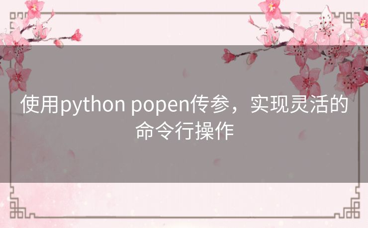使用python popen传参，实现灵活的命令行操作