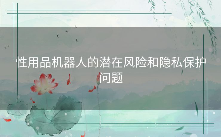 性用品机器人的潜在风险和隐私保护问题