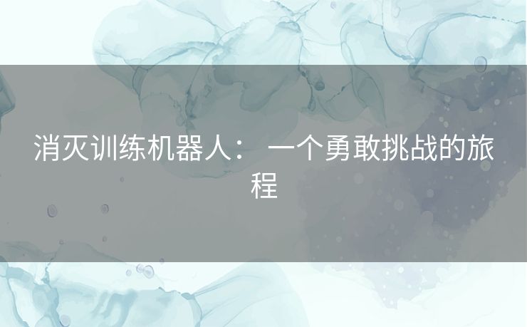 消灭训练机器人： 一个勇敢挑战的旅程