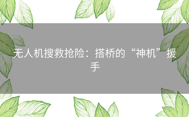 无人机搜救抢险：搭桥的“神机”援手
