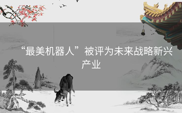 “最美机器人”被评为未来战略新兴产业