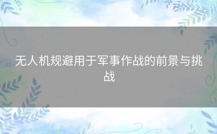 无人机规避用于军事作战的前景与挑战
