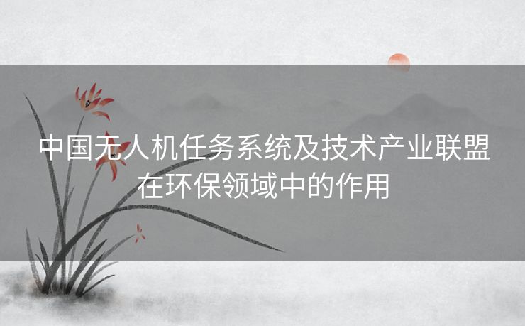 中国无人机任务系统及技术产业联盟在环保领域中的作用