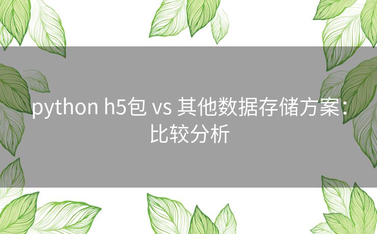 python h5包 vs 其他数据存储方案：比较分析