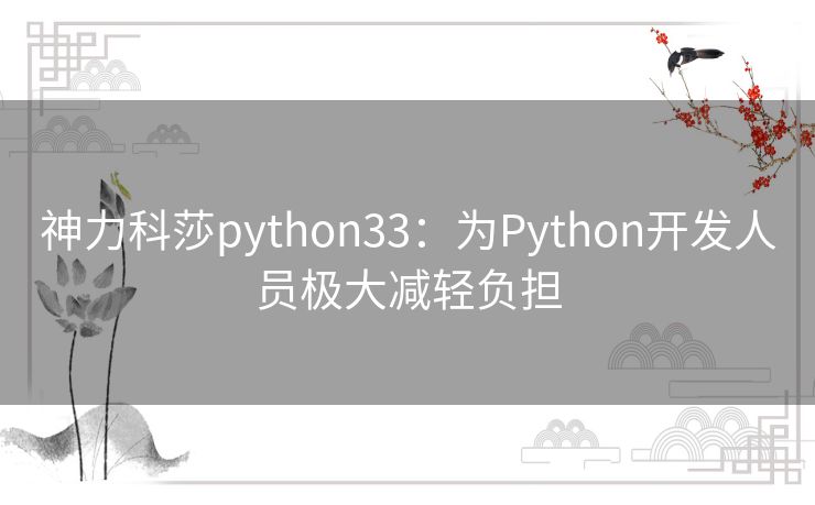 神力科莎python33：为Python开发人员极大减轻负担