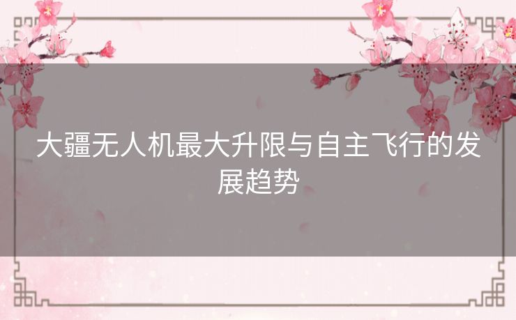 大疆无人机最大升限与自主飞行的发展趋势