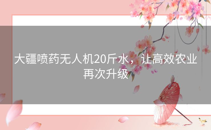 大疆喷药无人机20斤水，让高效农业再次升级