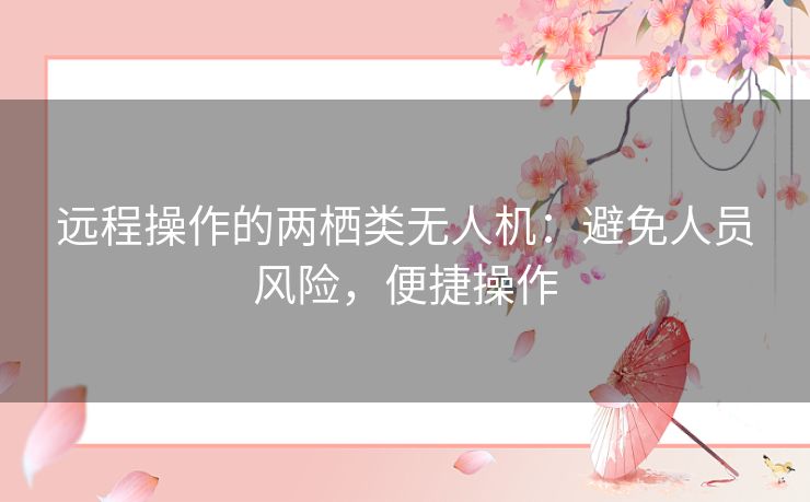 远程操作的两栖类无人机：避免人员风险，便捷操作