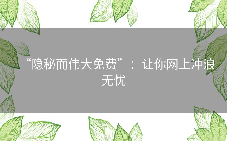 “隐秘而伟大免费”：让你网上冲浪无忧