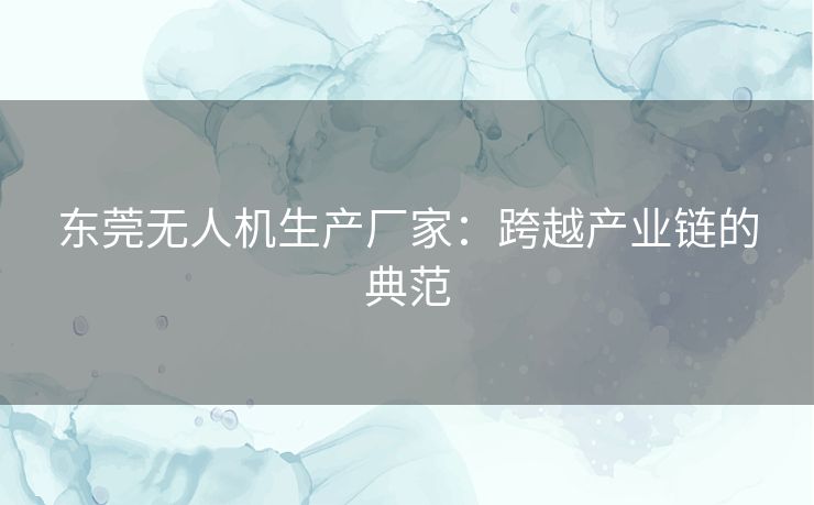 东莞无人机生产厂家：跨越产业链的典范