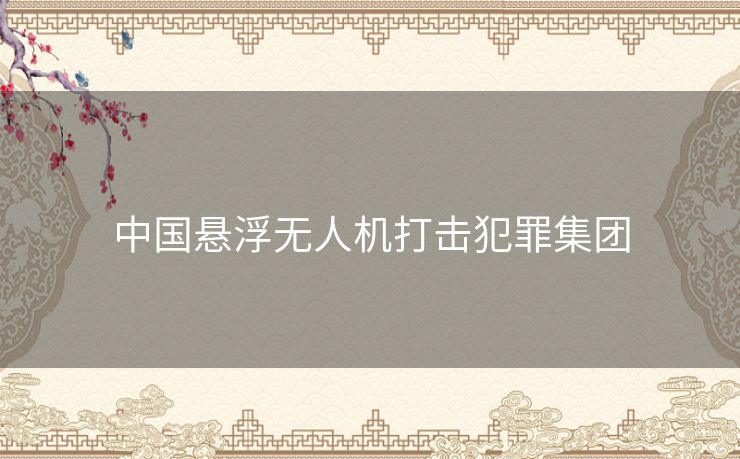 中国悬浮无人机打击犯罪集团