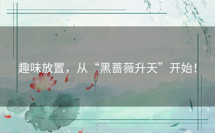 趣味放置，从“黑蔷薇升天”开始！
