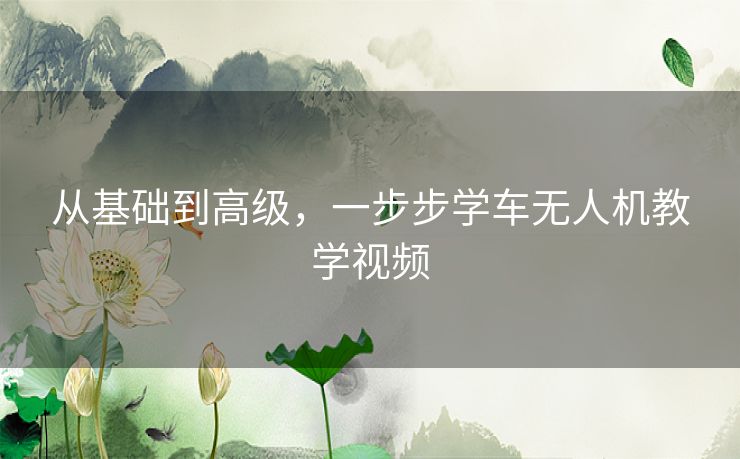 从基础到高级，一步步学车无人机教学视频