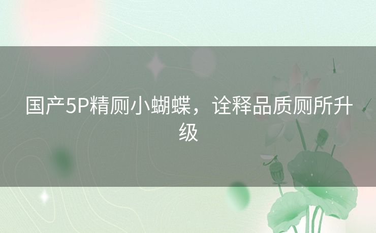 国产5P精厕小蝴蝶，诠释品质厕所升级