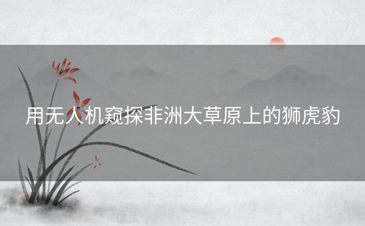 用无人机窥探非洲大草原上的狮虎豹