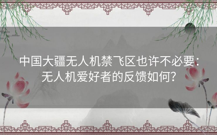 中国大疆无人机禁飞区也许不必要：无人机爱好者的反馈如何？