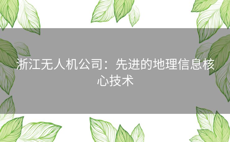 浙江无人机公司：先进的地理信息核心技术