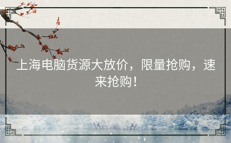 上海电脑货源大放价，限量抢购，速来抢购！