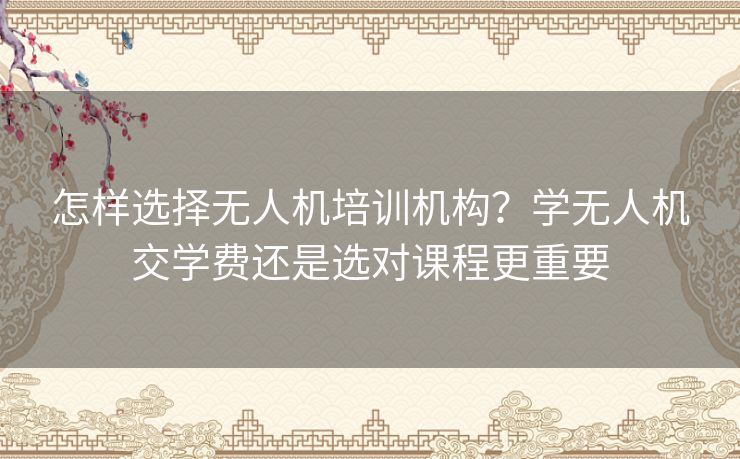 怎样选择无人机培训机构？学无人机交学费还是选对课程更重要