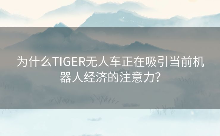 为什么TIGER无人车正在吸引当前机器人经济的注意力？