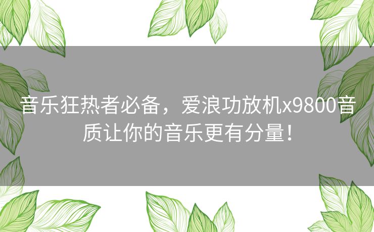 音乐狂热者必备，爱浪功放机x9800音质让你的音乐更有分量！
