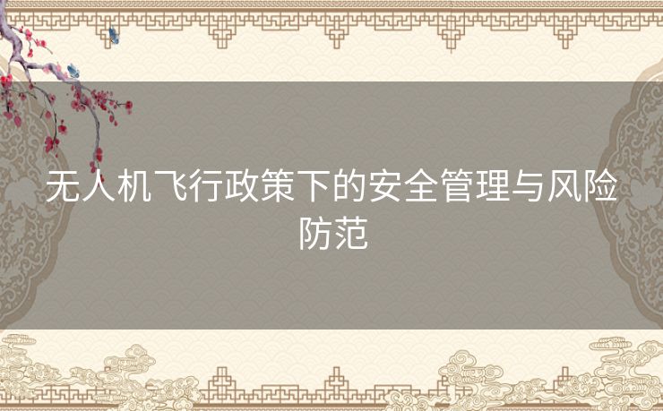 无人机飞行政策下的安全管理与风险防范
