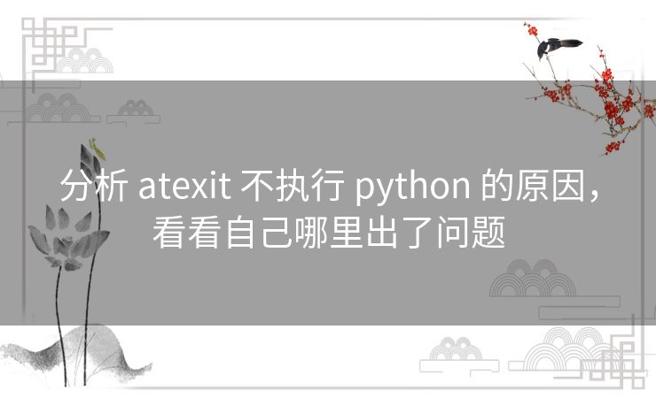 分析 atexit 不执行 python 的原因，看看自己哪里出了问题